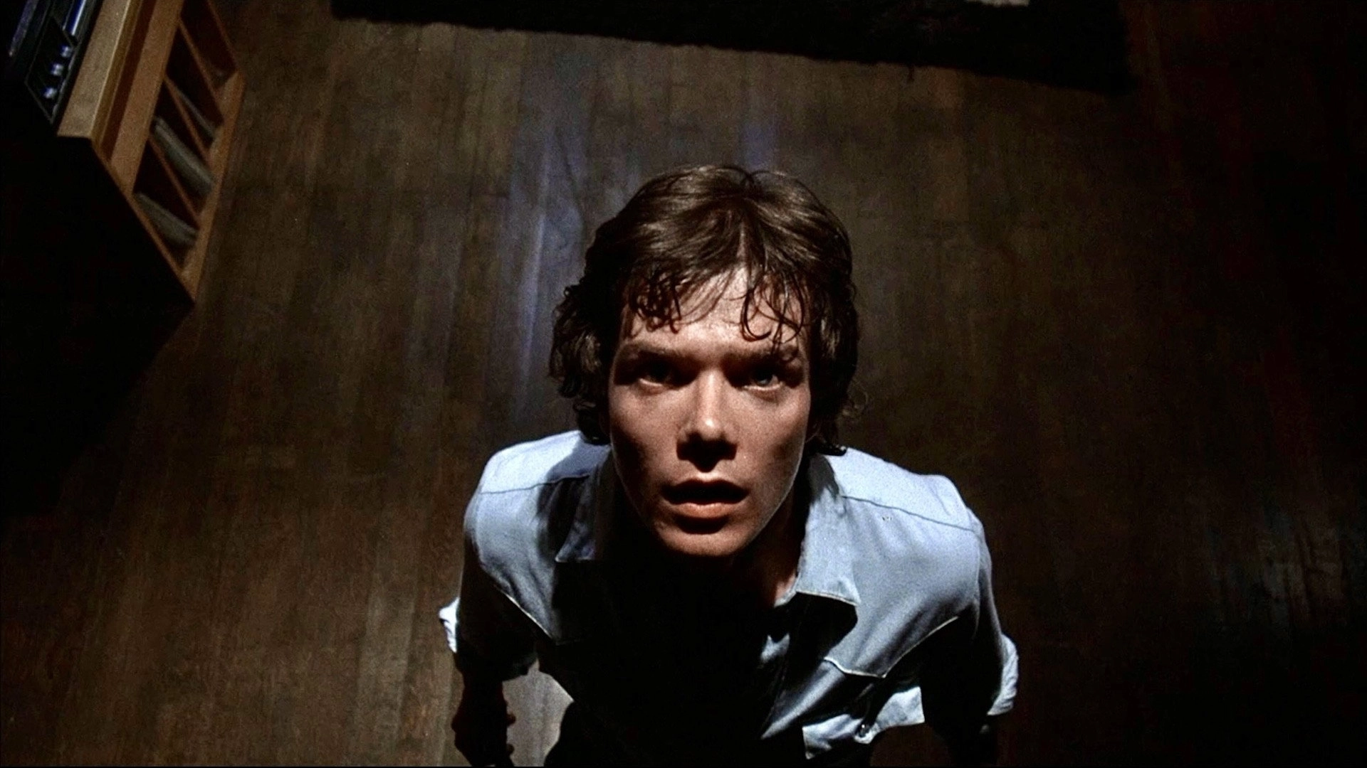 Amityville II: The Possession