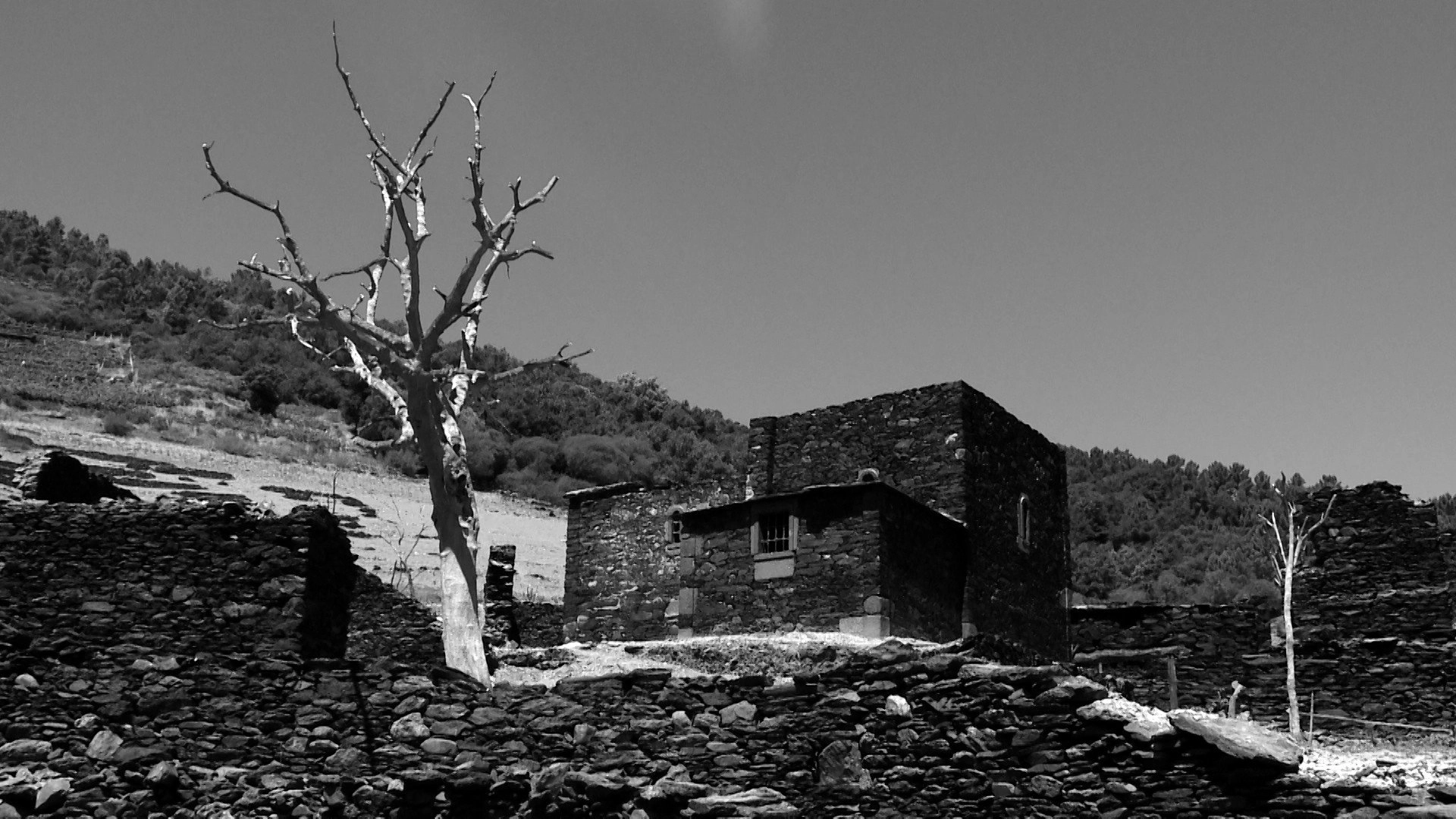 Recordos asolagados