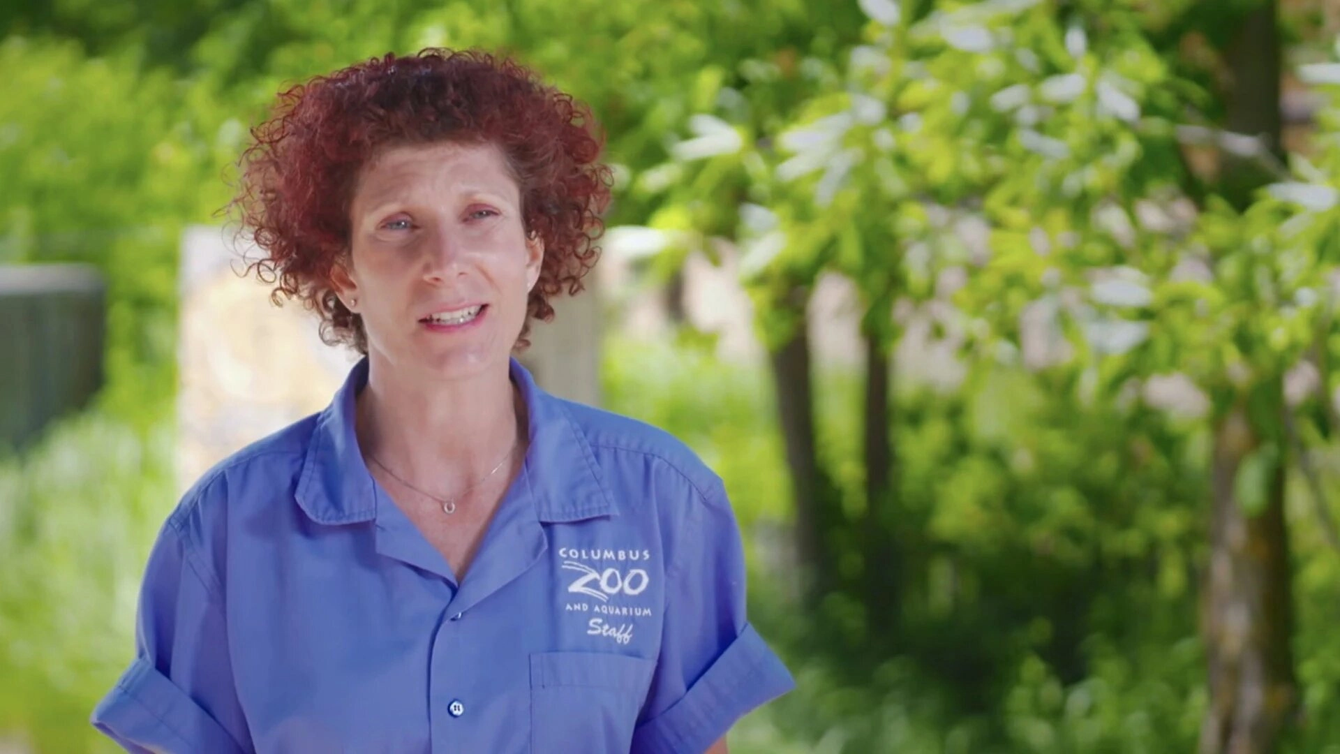 Secrets of the Zoo