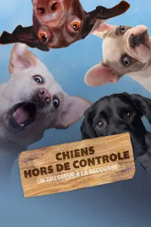 Dogs Behaving (Very) Badly