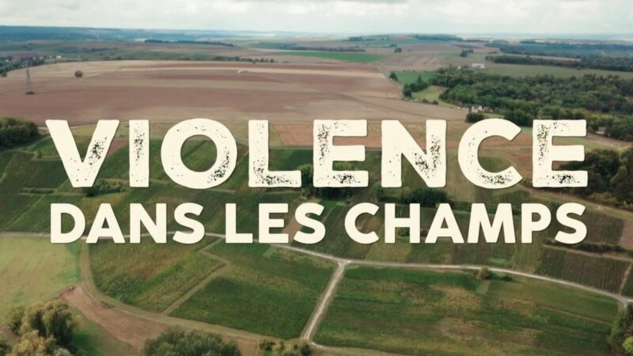 Violence dans les Champs