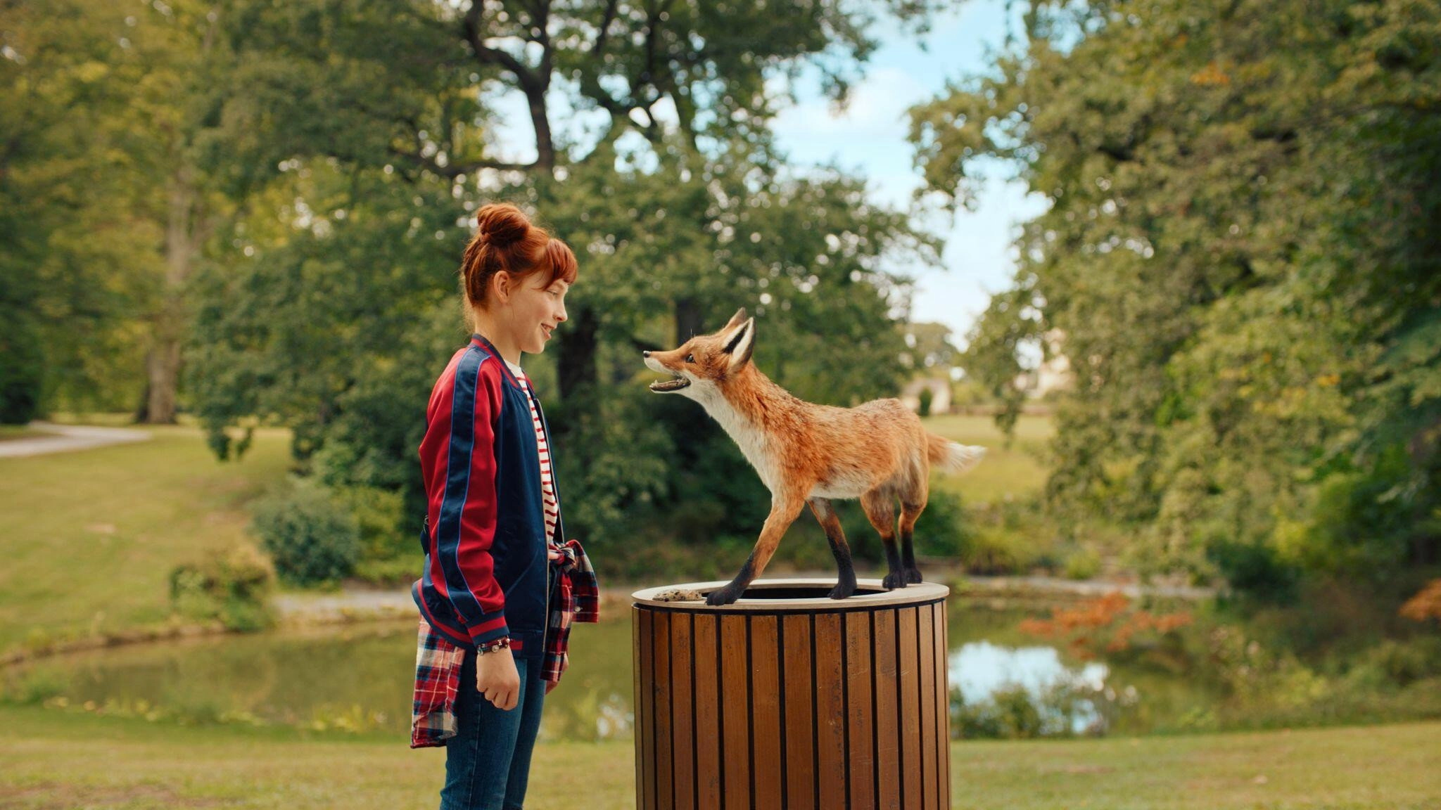The School of the Magical Animals