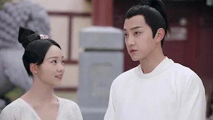 Qing Qing Zi Jin
