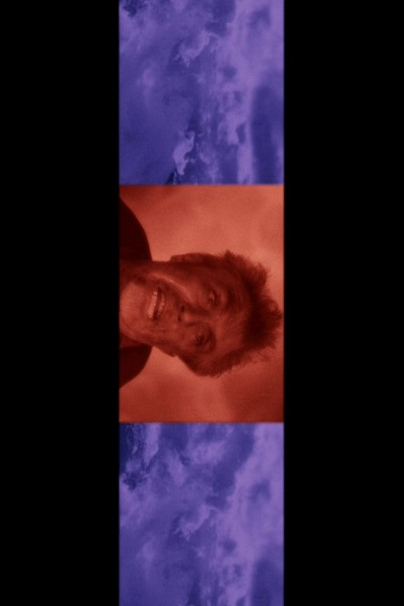 Zebraman