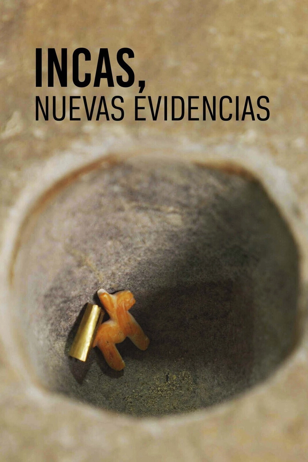 Incas: The New Story