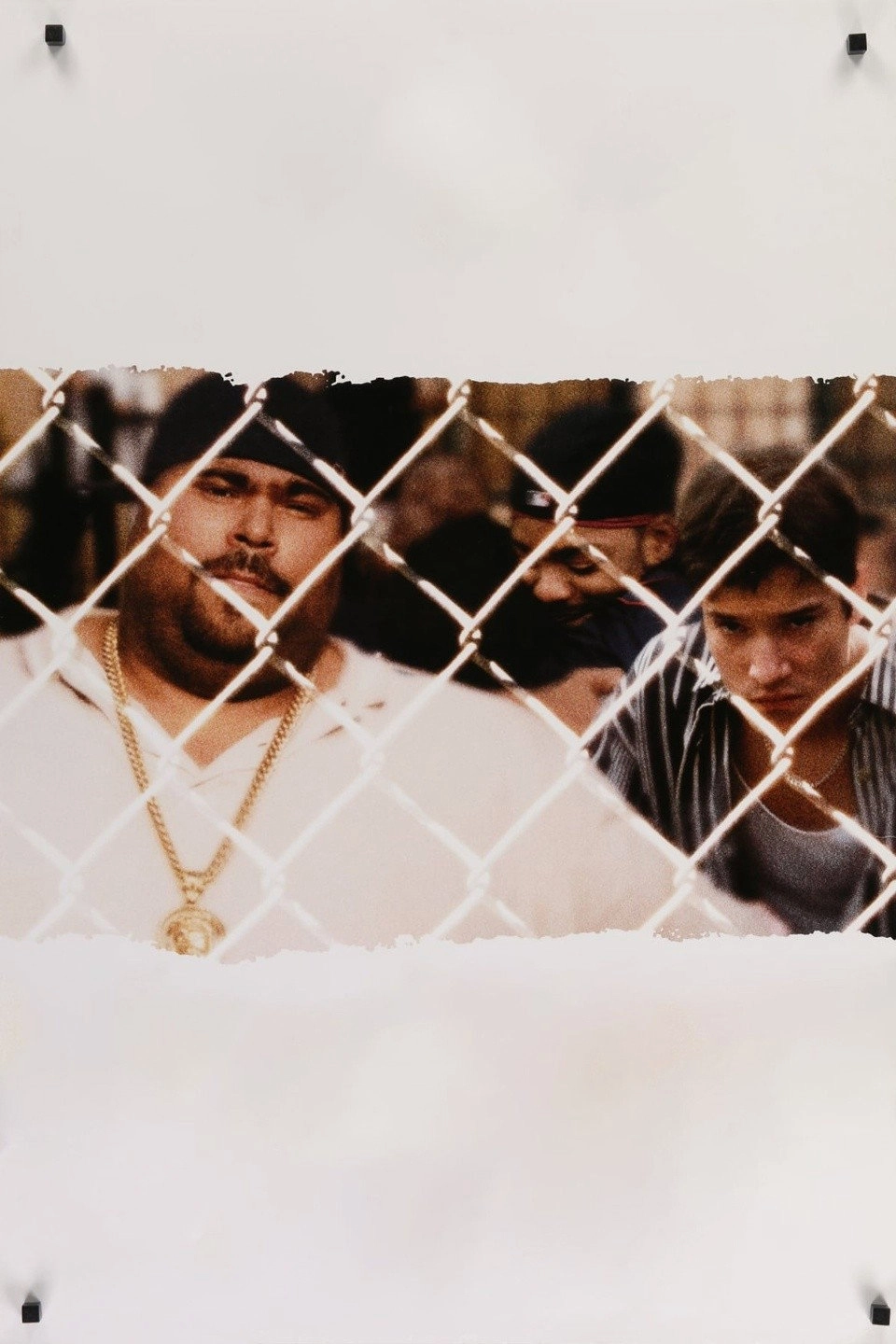 Boricua's Bond