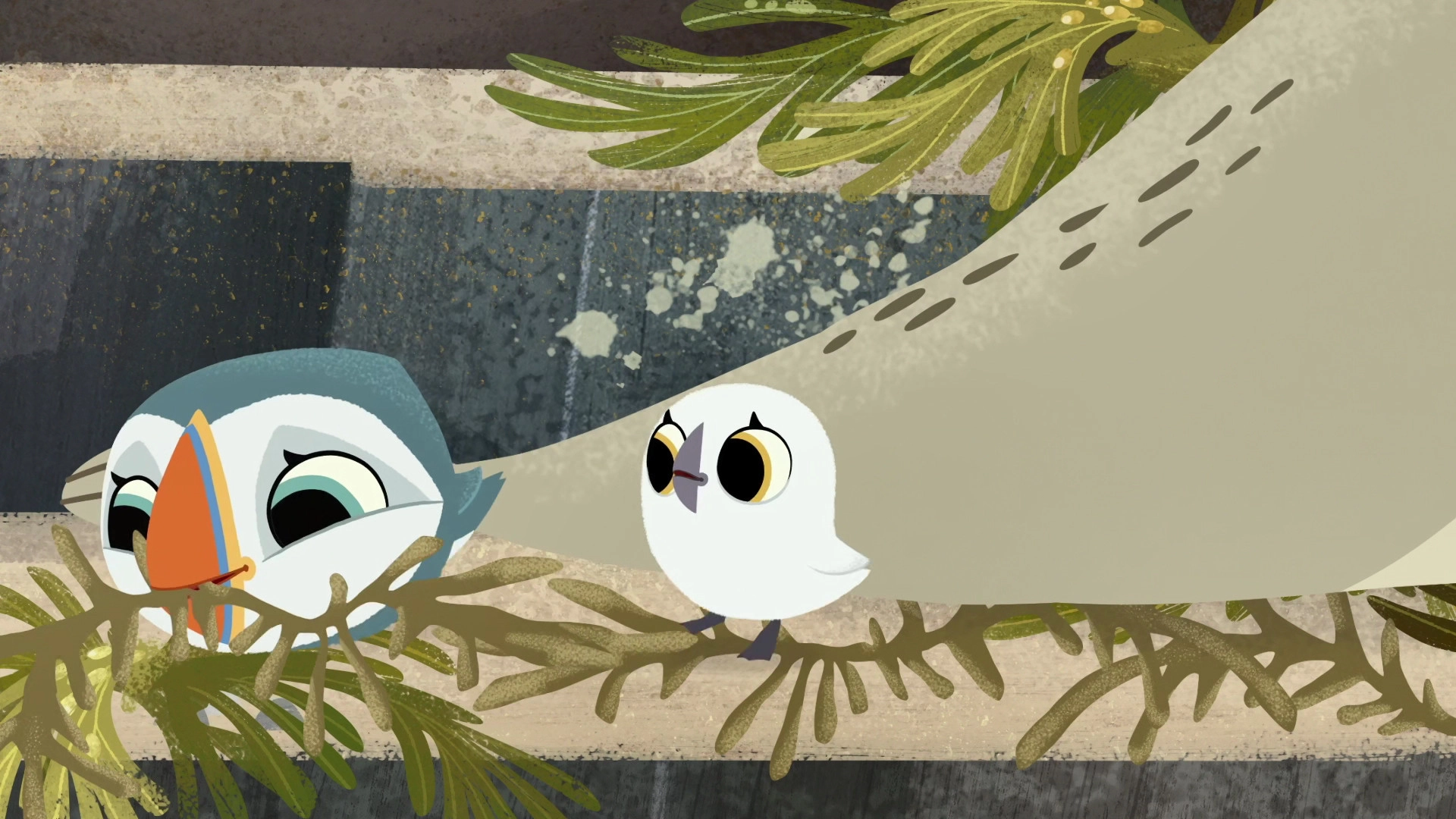 Puffin Rock