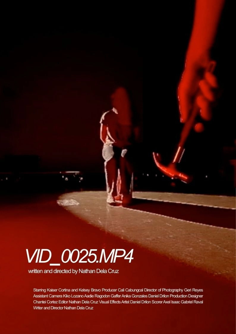 VID_0025.MP4