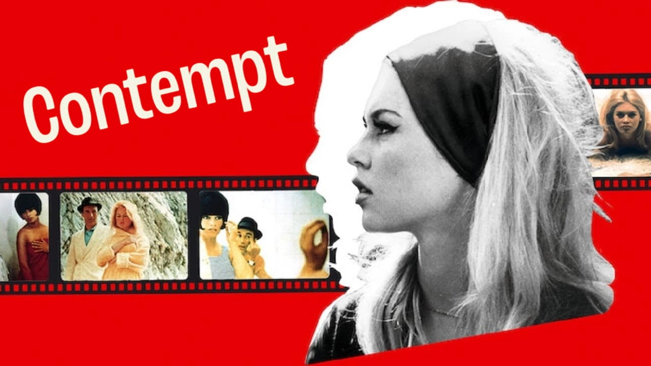 Contempt