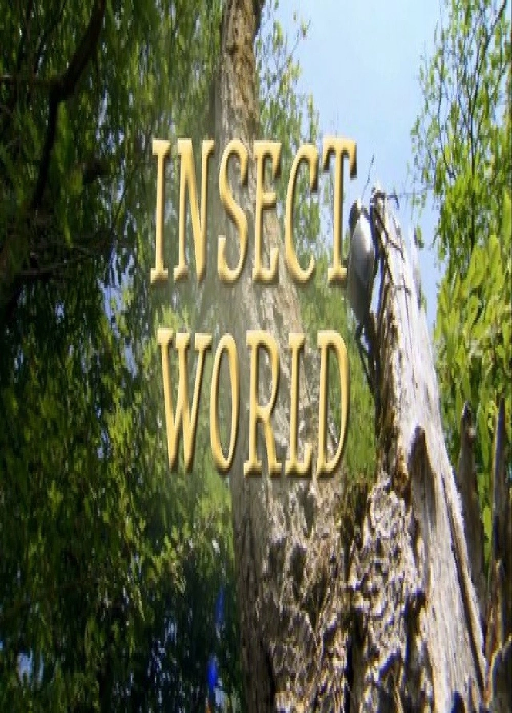 Insect World