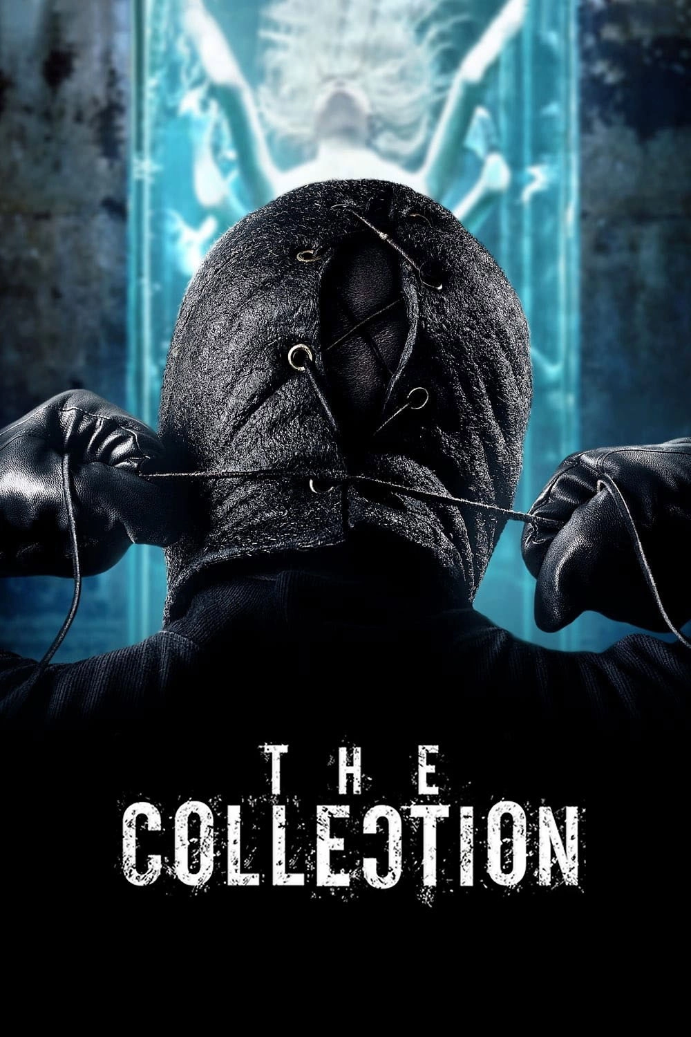 The Collection