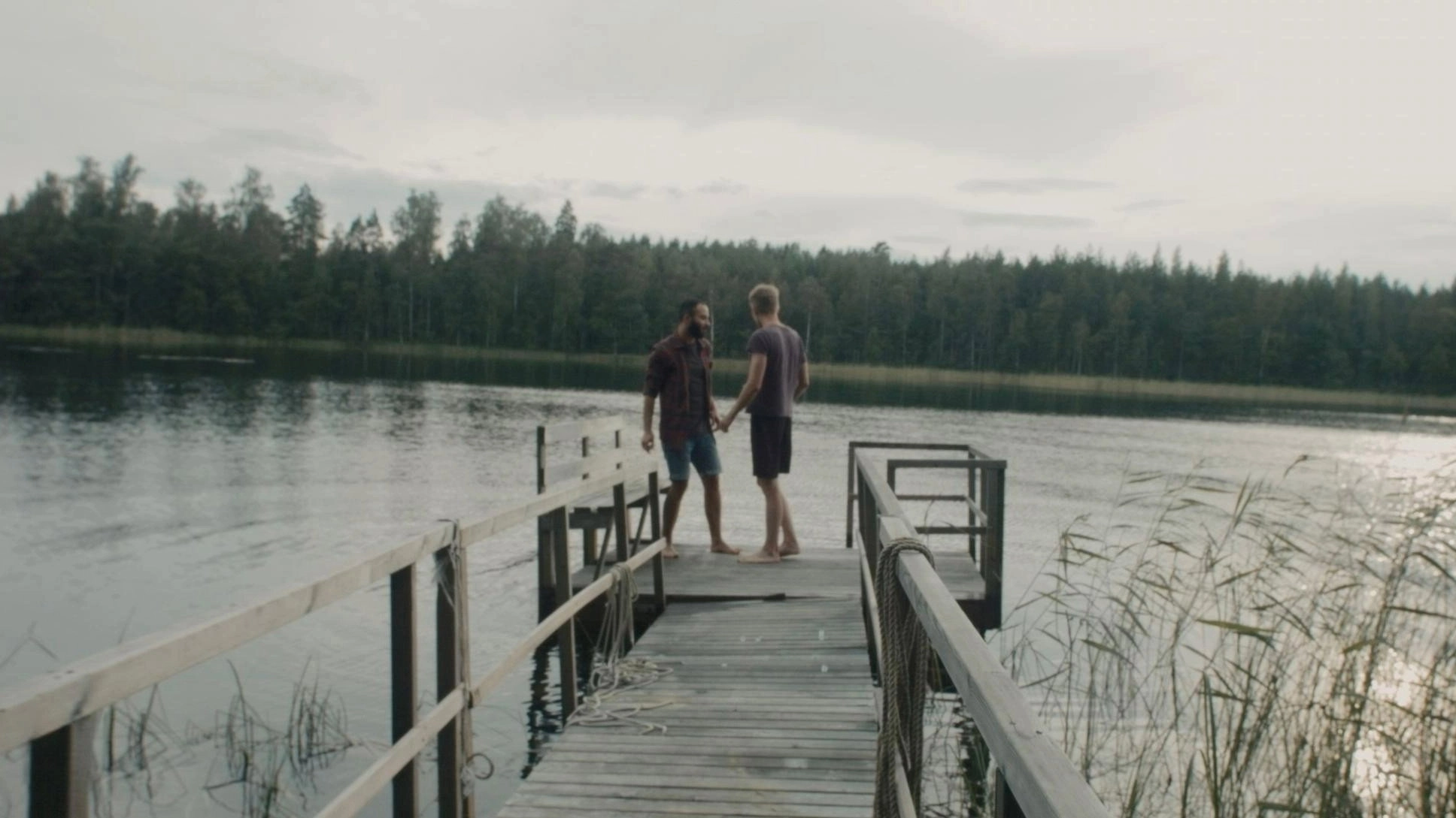 A Moment in the Reeds