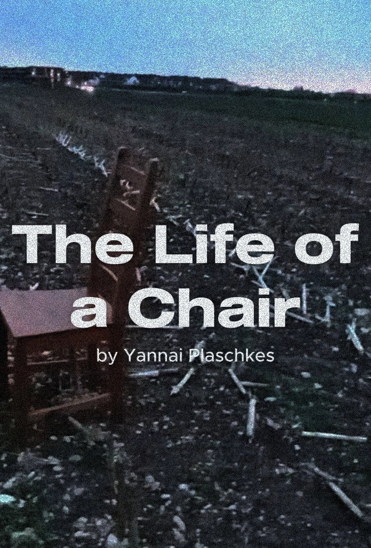 The Life of a Chair
