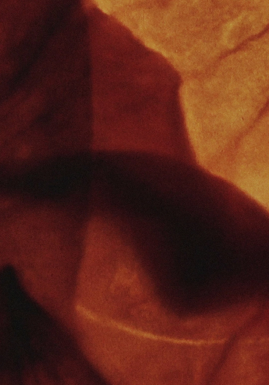 Mothlight