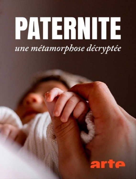 Paternité : une métamorphose décryptée