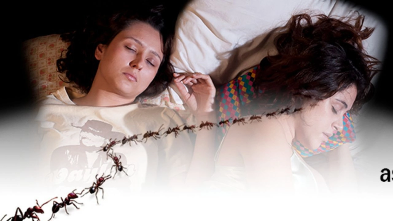 Violent Delights