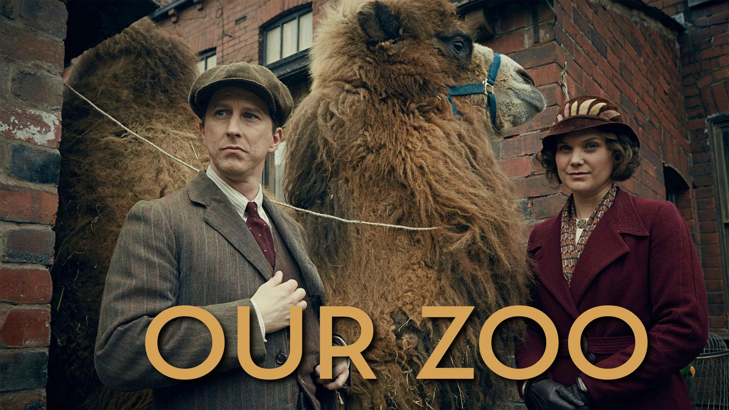 Our Zoo