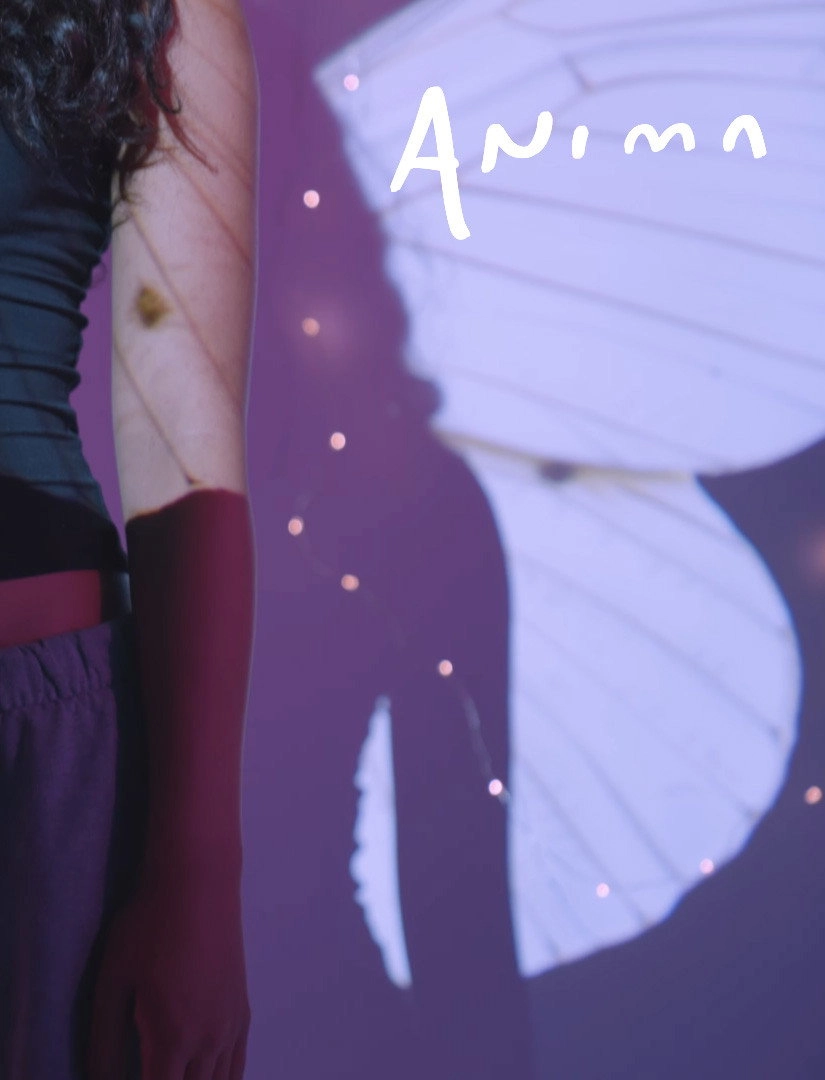 Anima