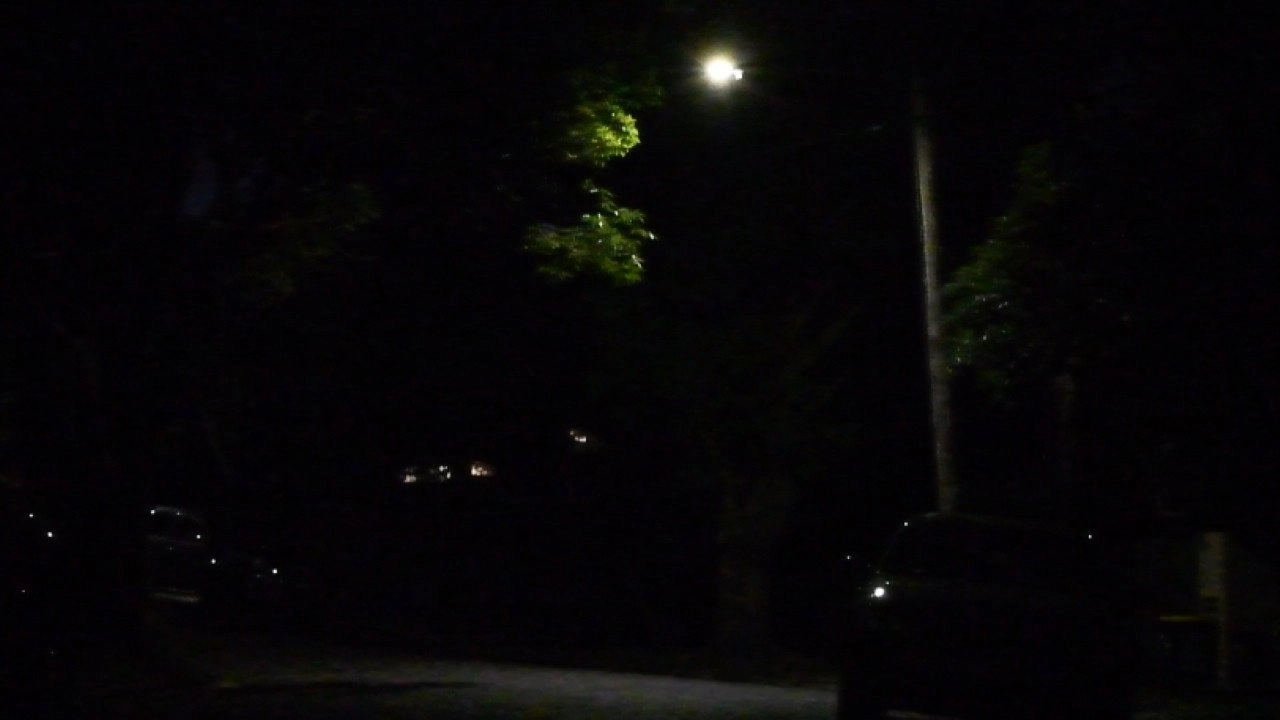 A Suburban Night's Dream