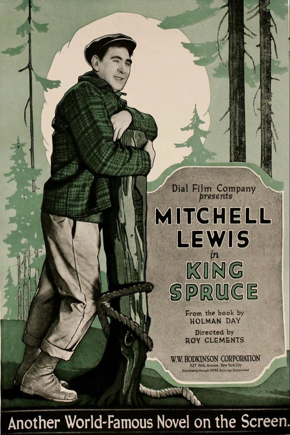 King Spruce