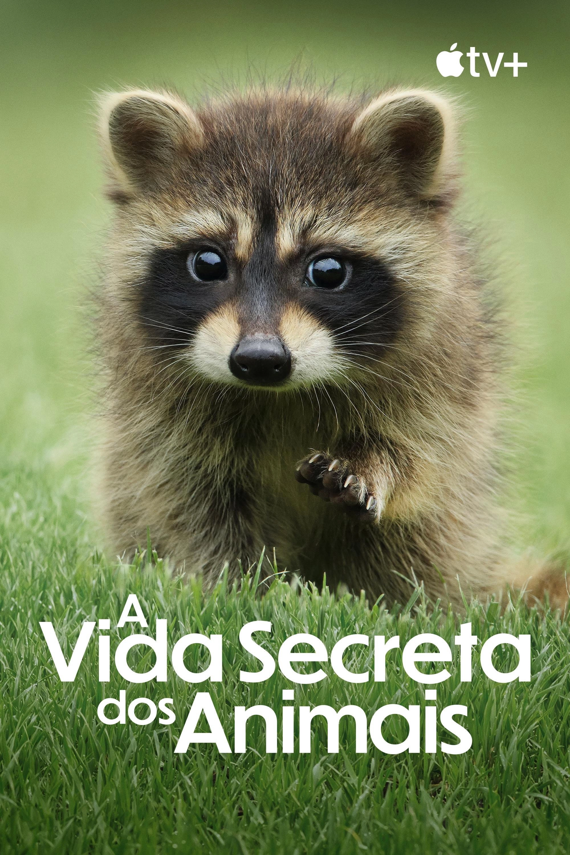 The Secret Lives of Animals