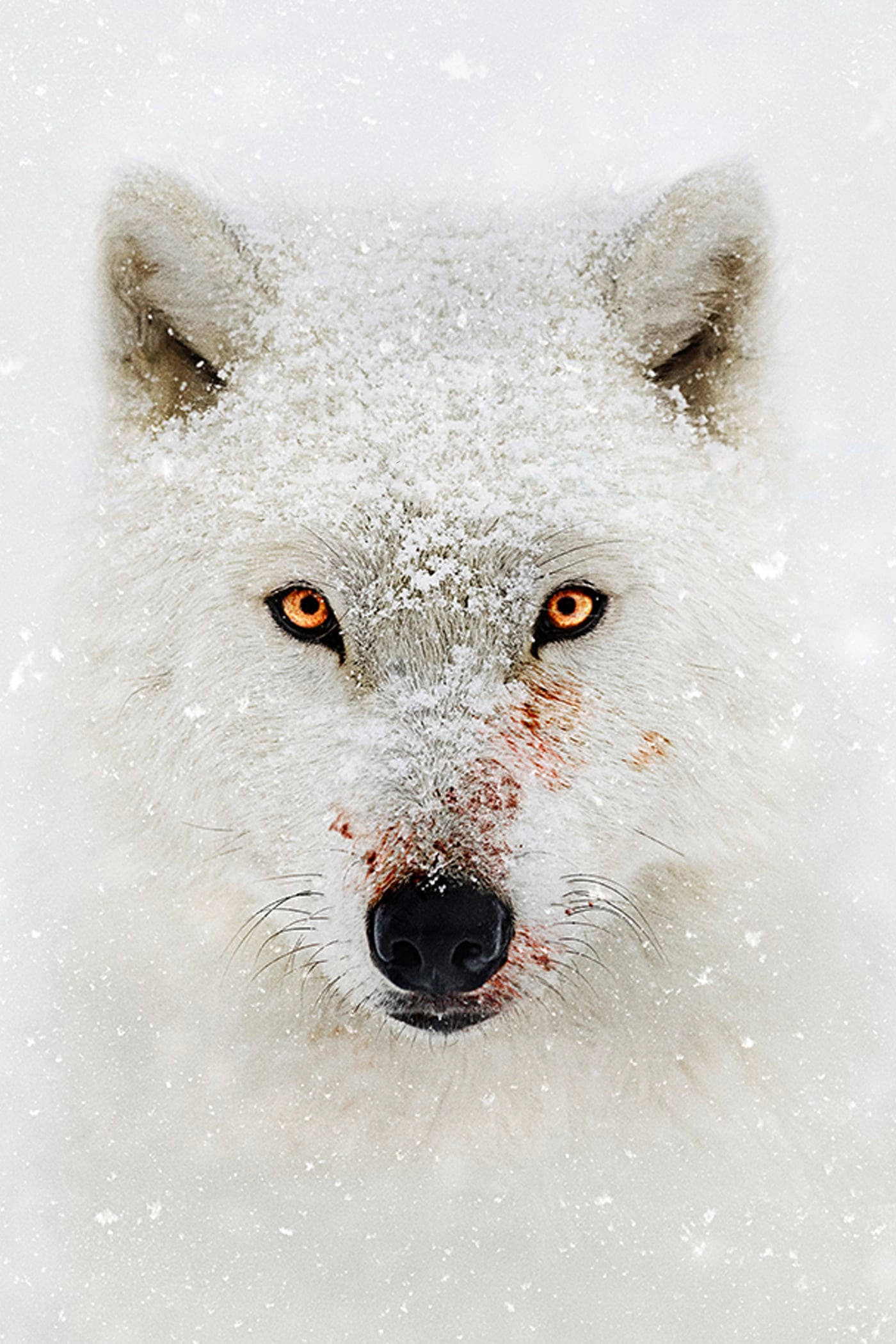 Hostile Planet