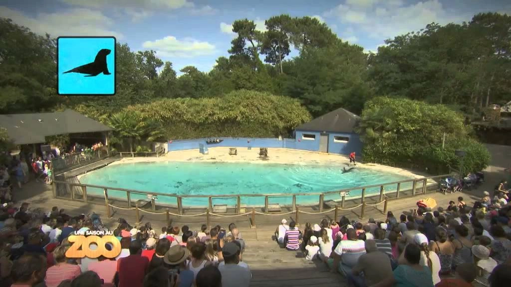 Une saison au zoo
