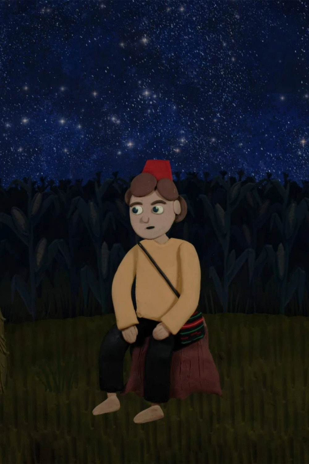 Gazing at the Starry Sky