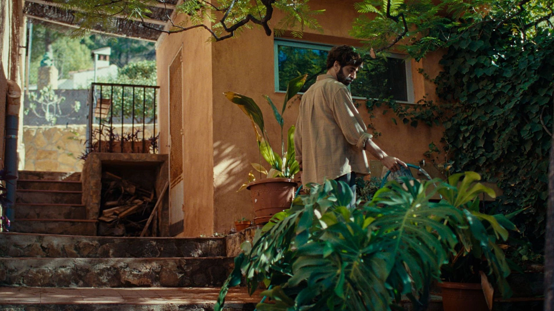 The House