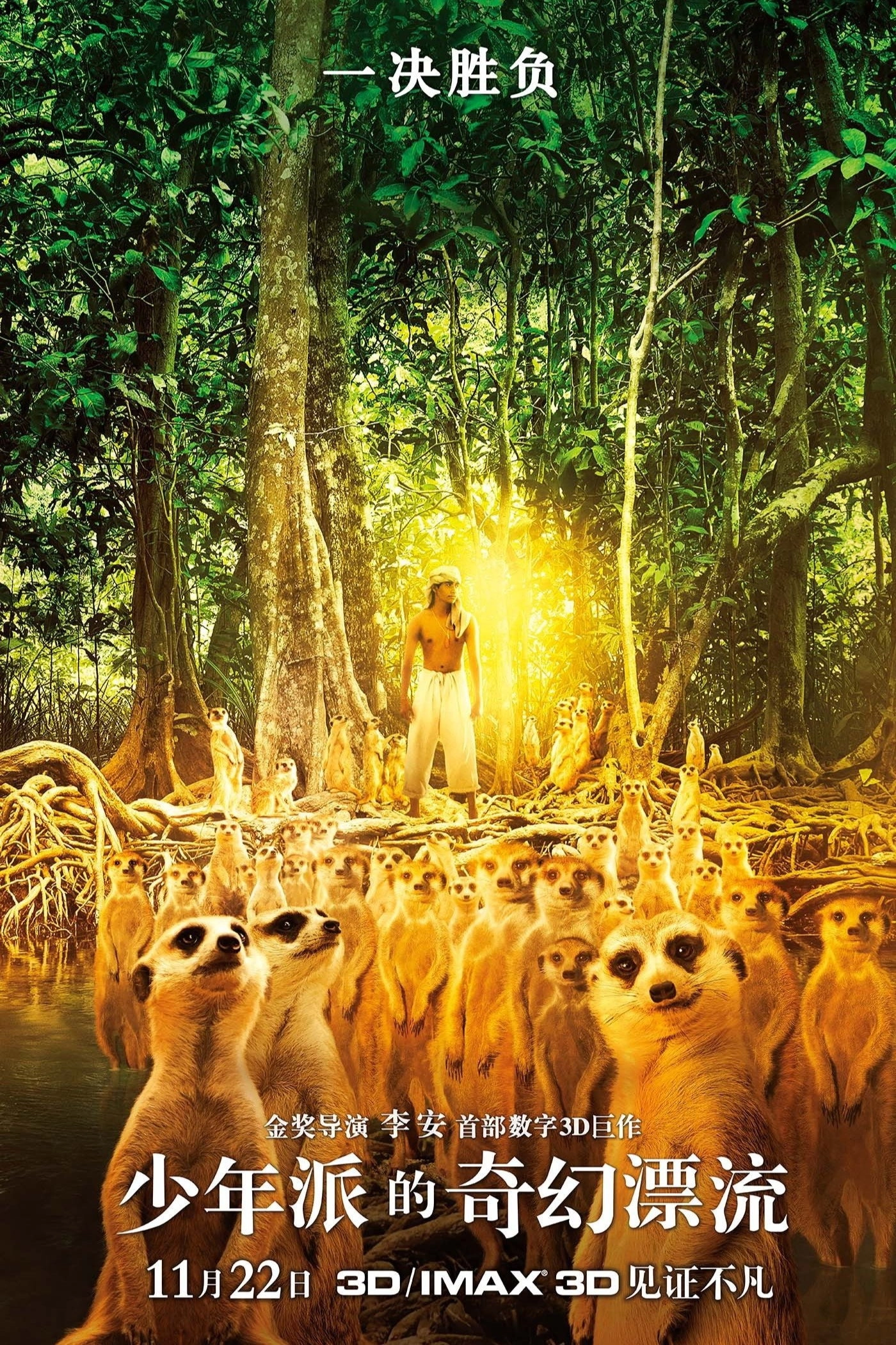 Life of Pi