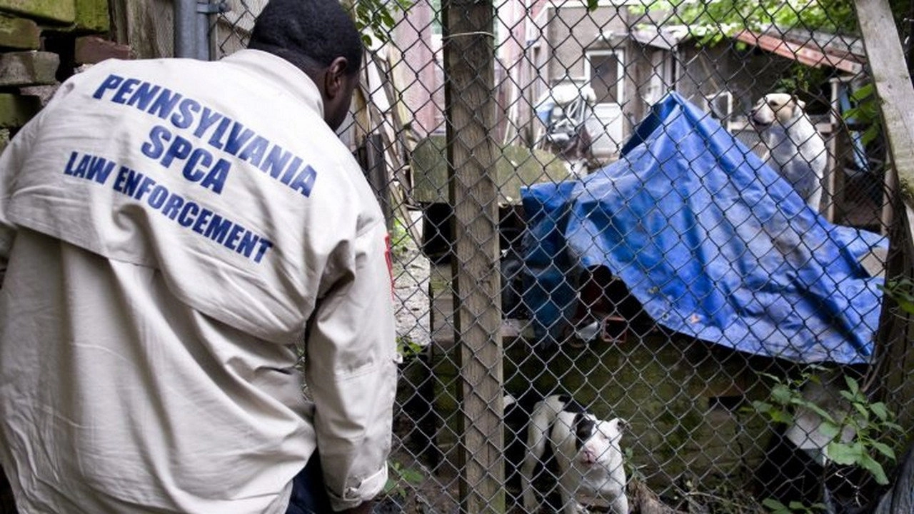 Animal Cops: Philadelphia
