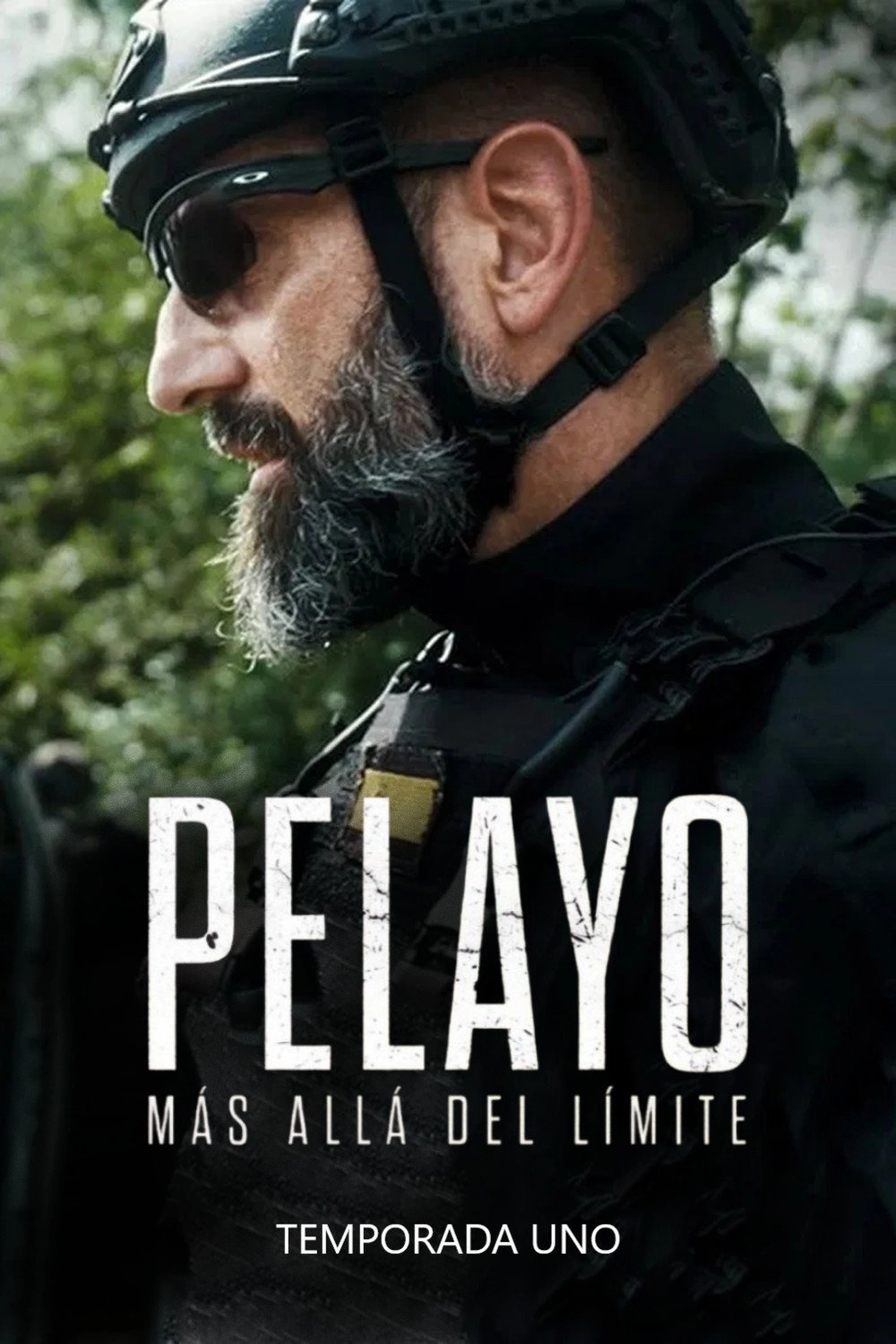 Pelayo: Más Allá Del Límite
