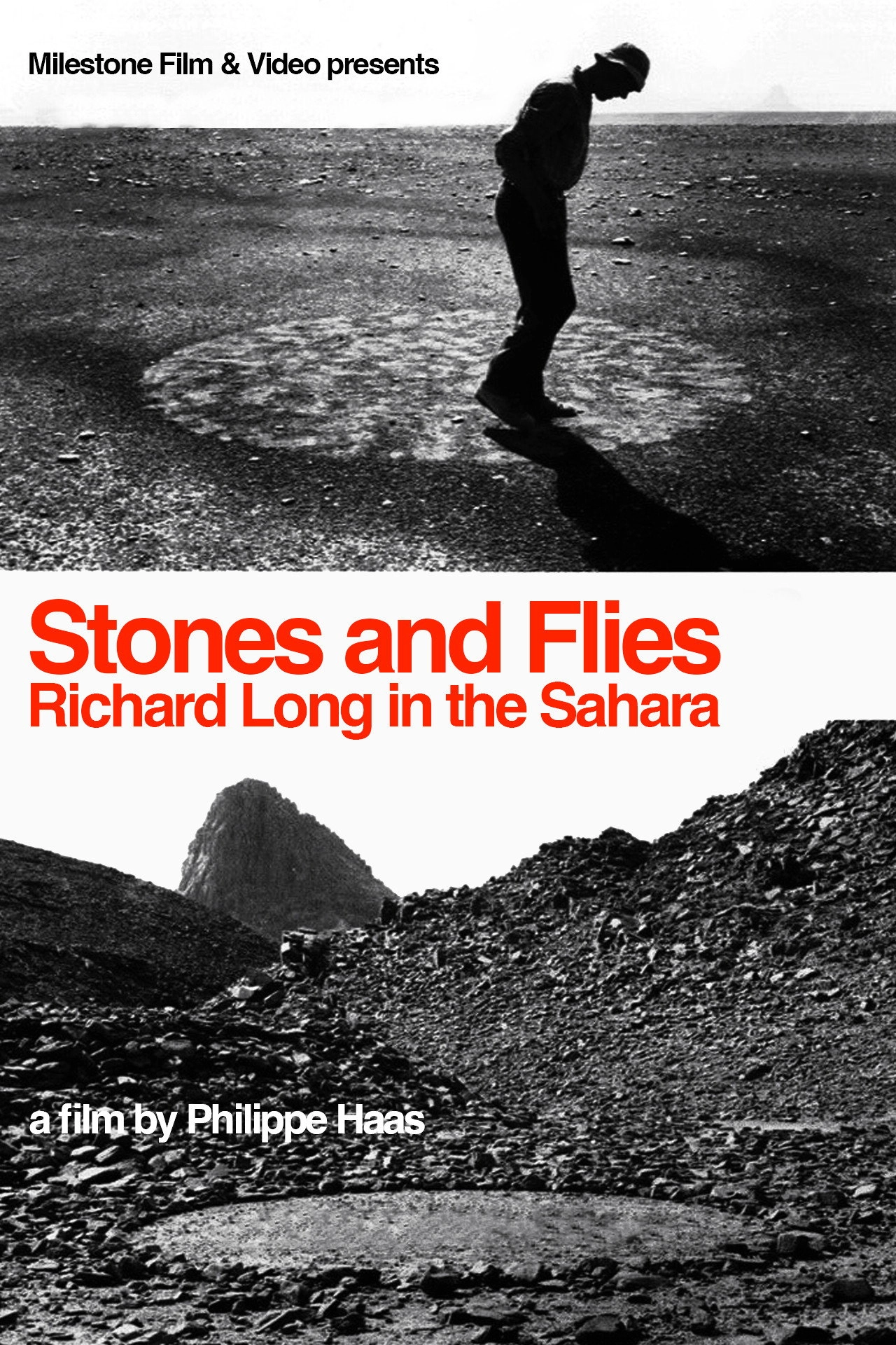 Stones and Flies: Richard Long in the Sahara