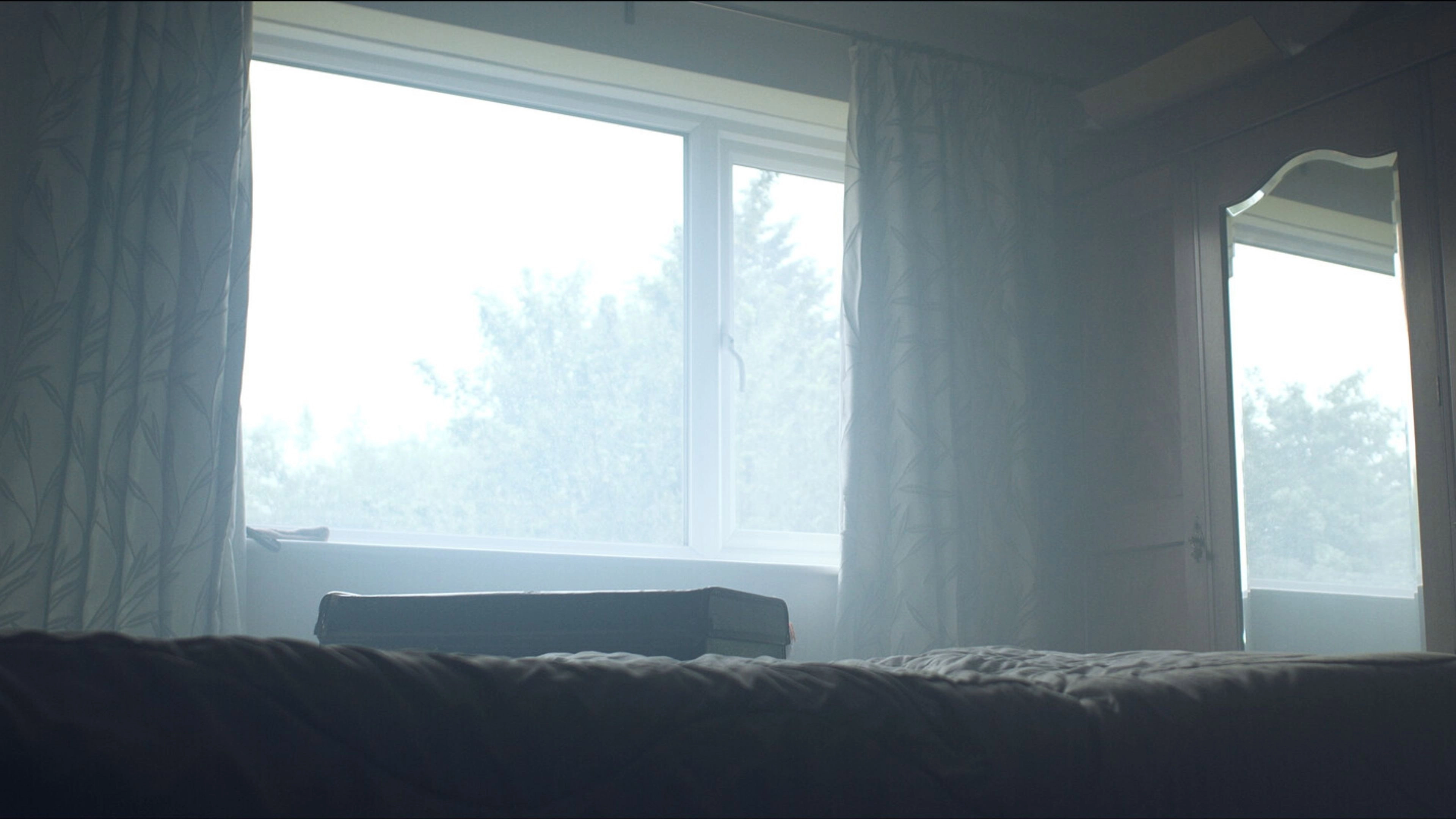 The Flowers From The Window