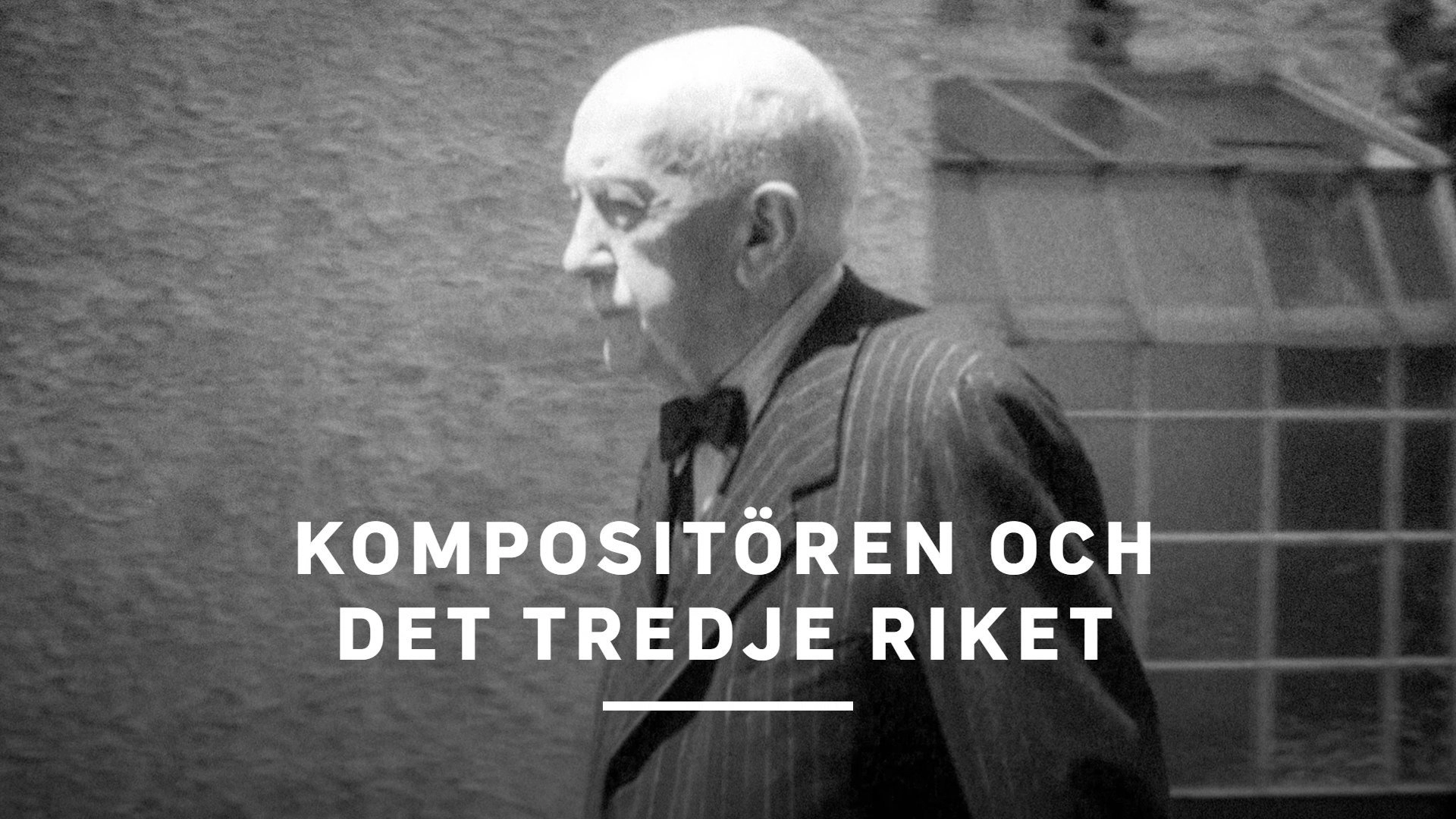 Richard Strauss im Zwielicht