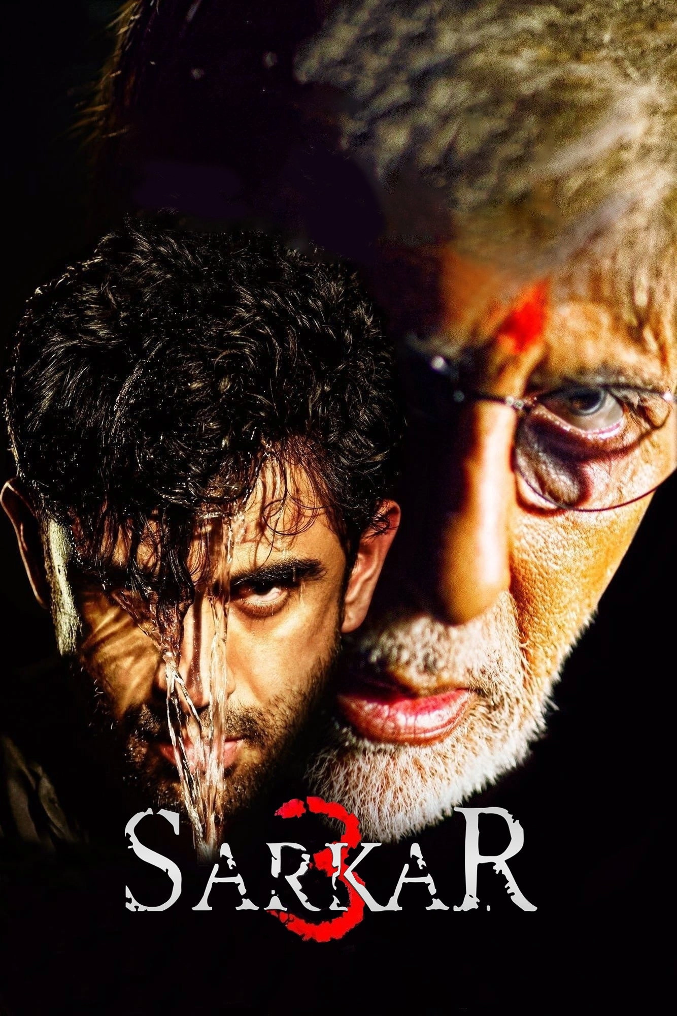 Sarkar 3