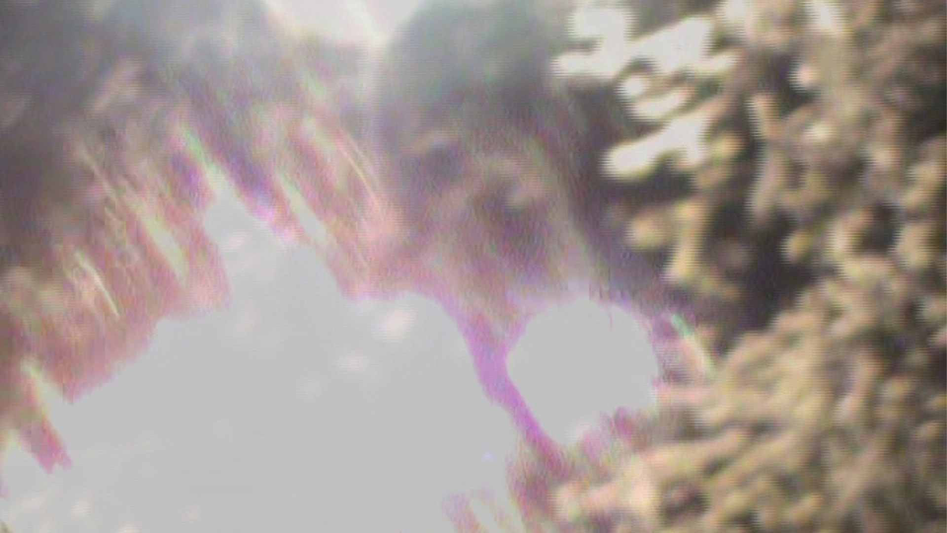 light blossom