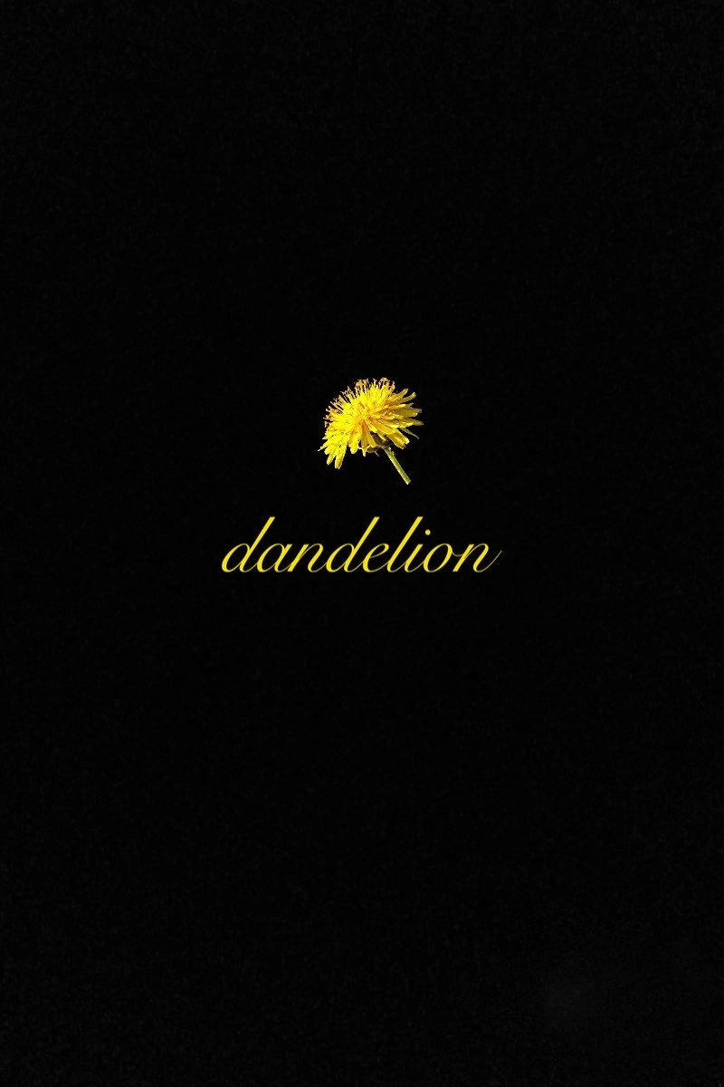 Dandelion