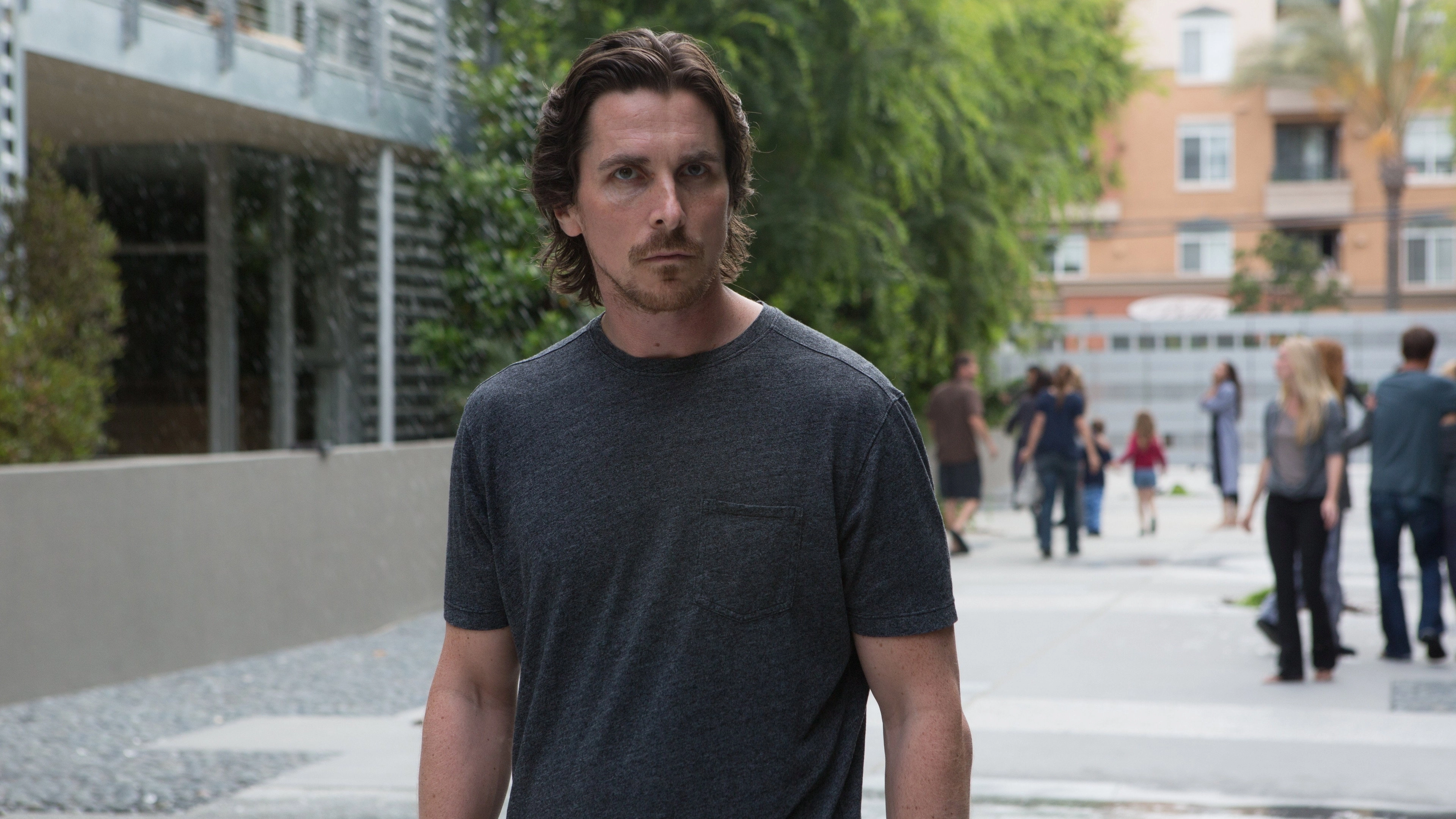 Knight of Cups