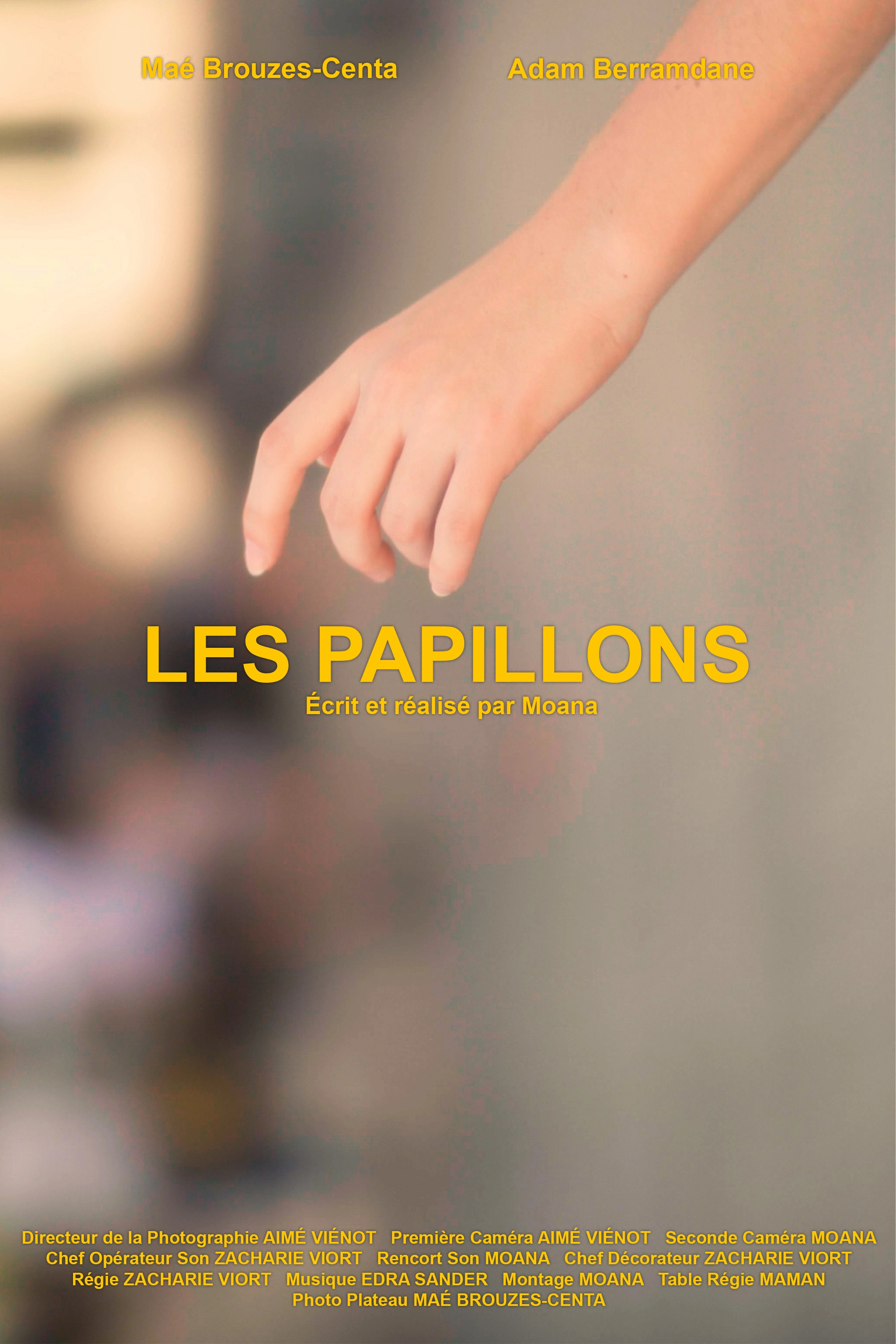 Les Papillons
