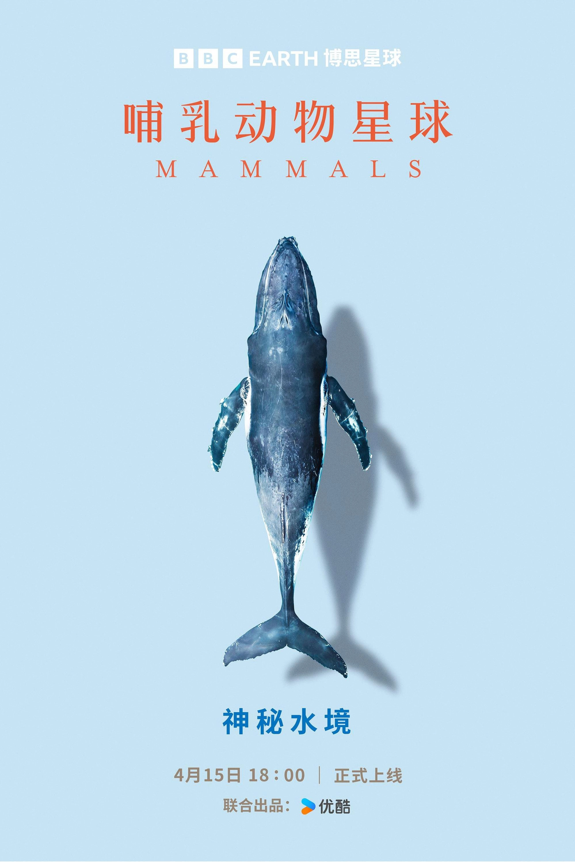 Mammals