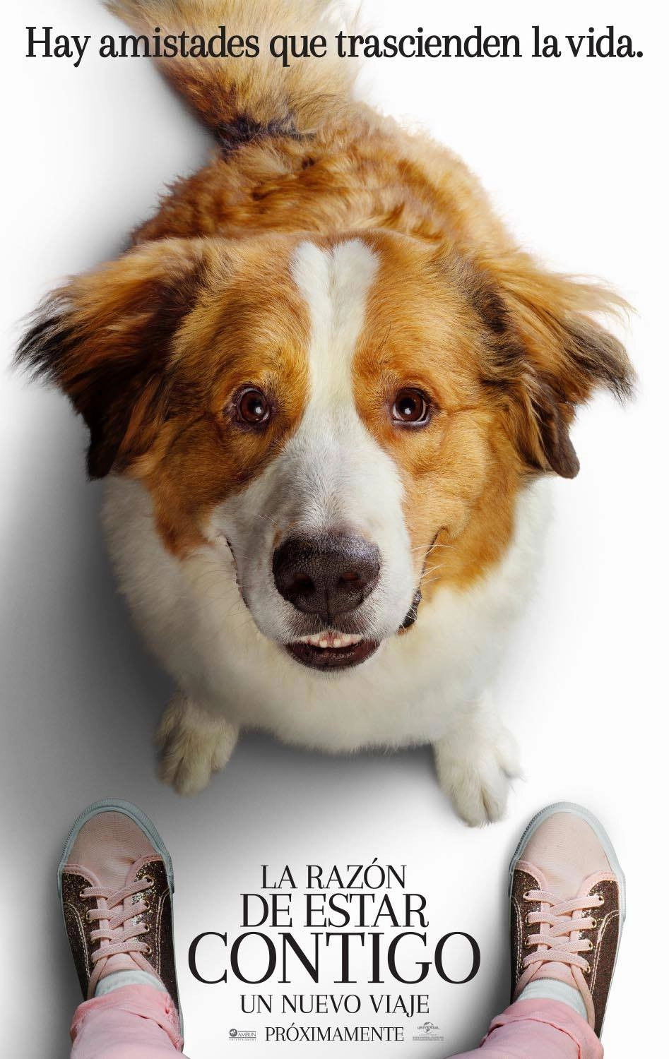 A Dog's Journey