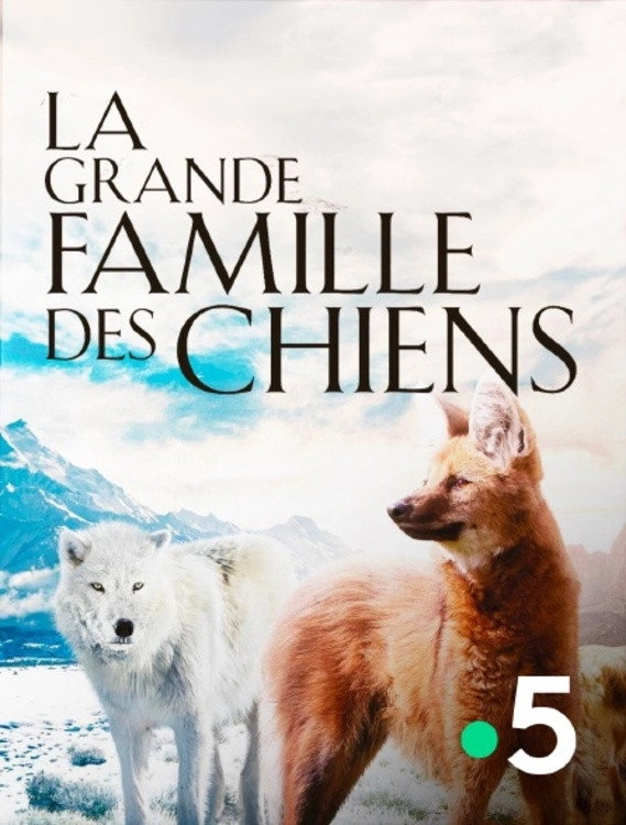 Dogs in the Wild: Meet the Family