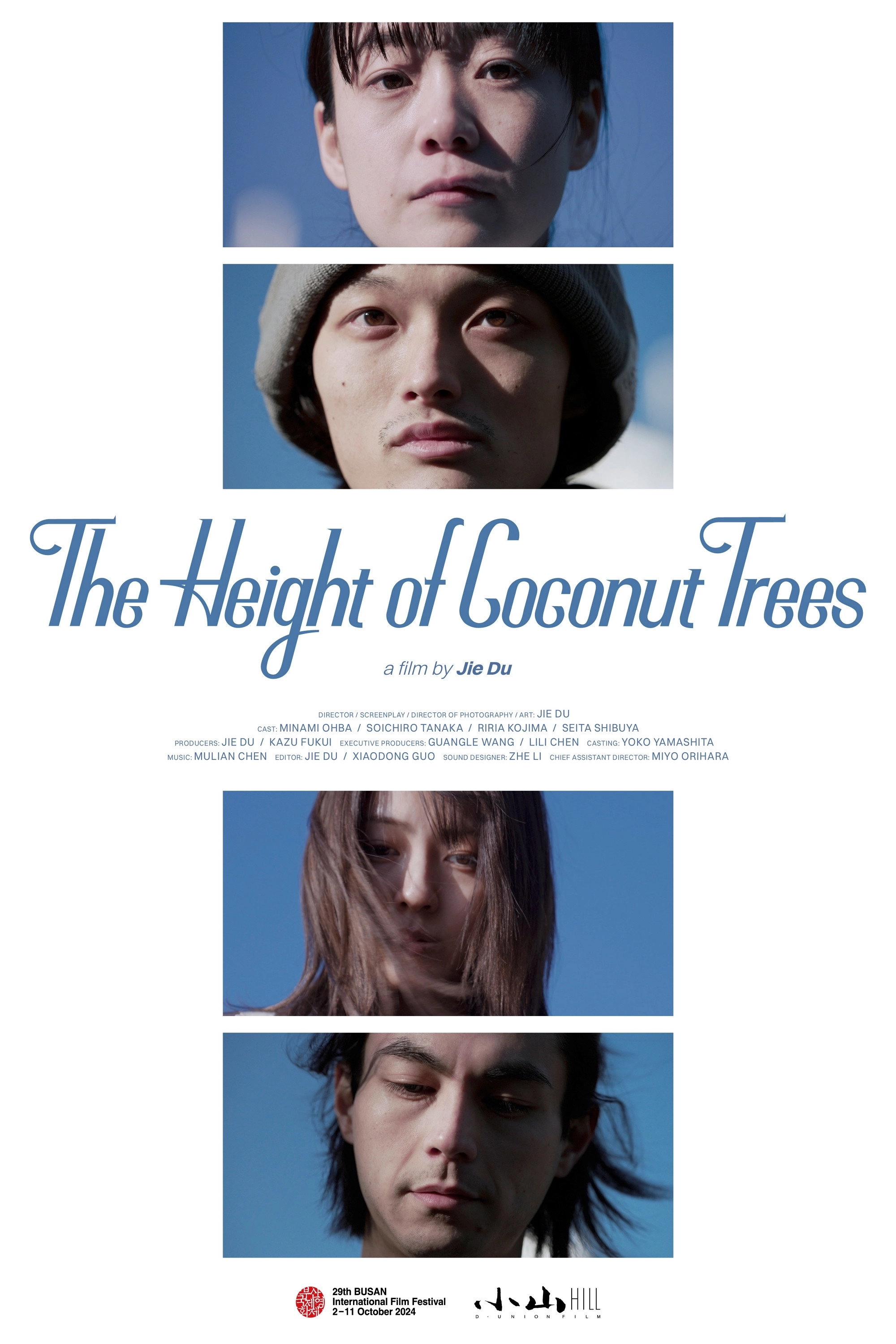 The Height of the Coconut Trees