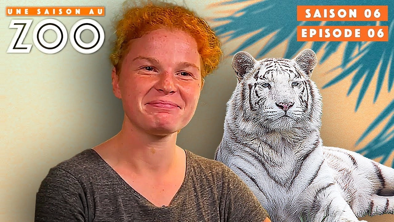 Une saison au zoo