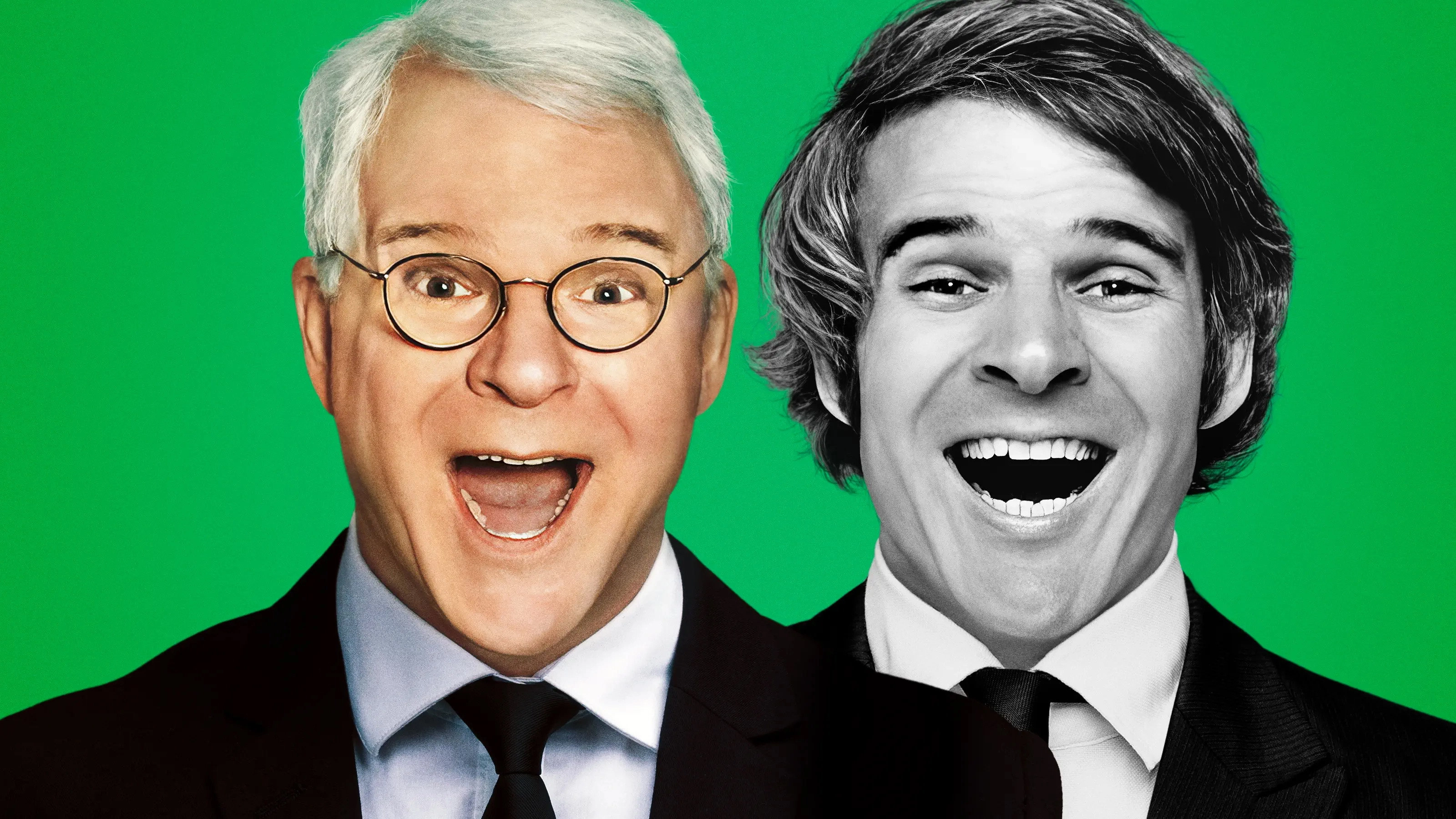 STEVE! (martin) a documentary in 2 pieces