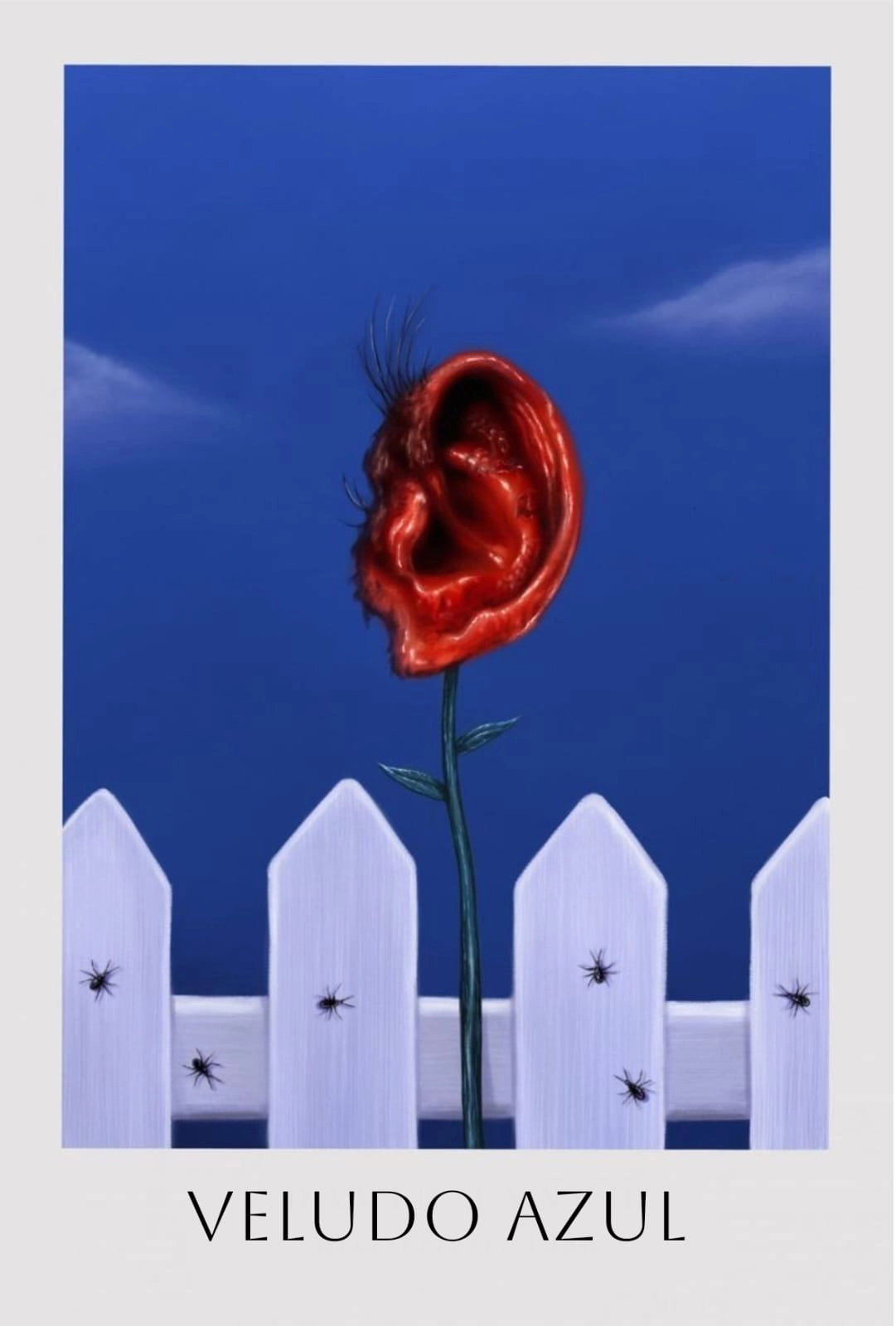 Blue Velvet