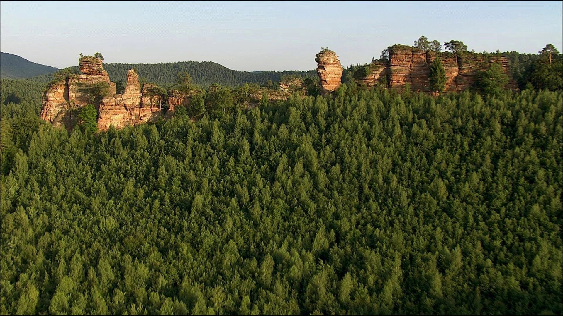 Wild Germany