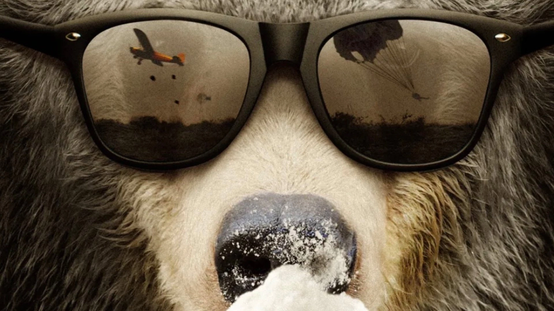 Cocaine Bear: The True Story