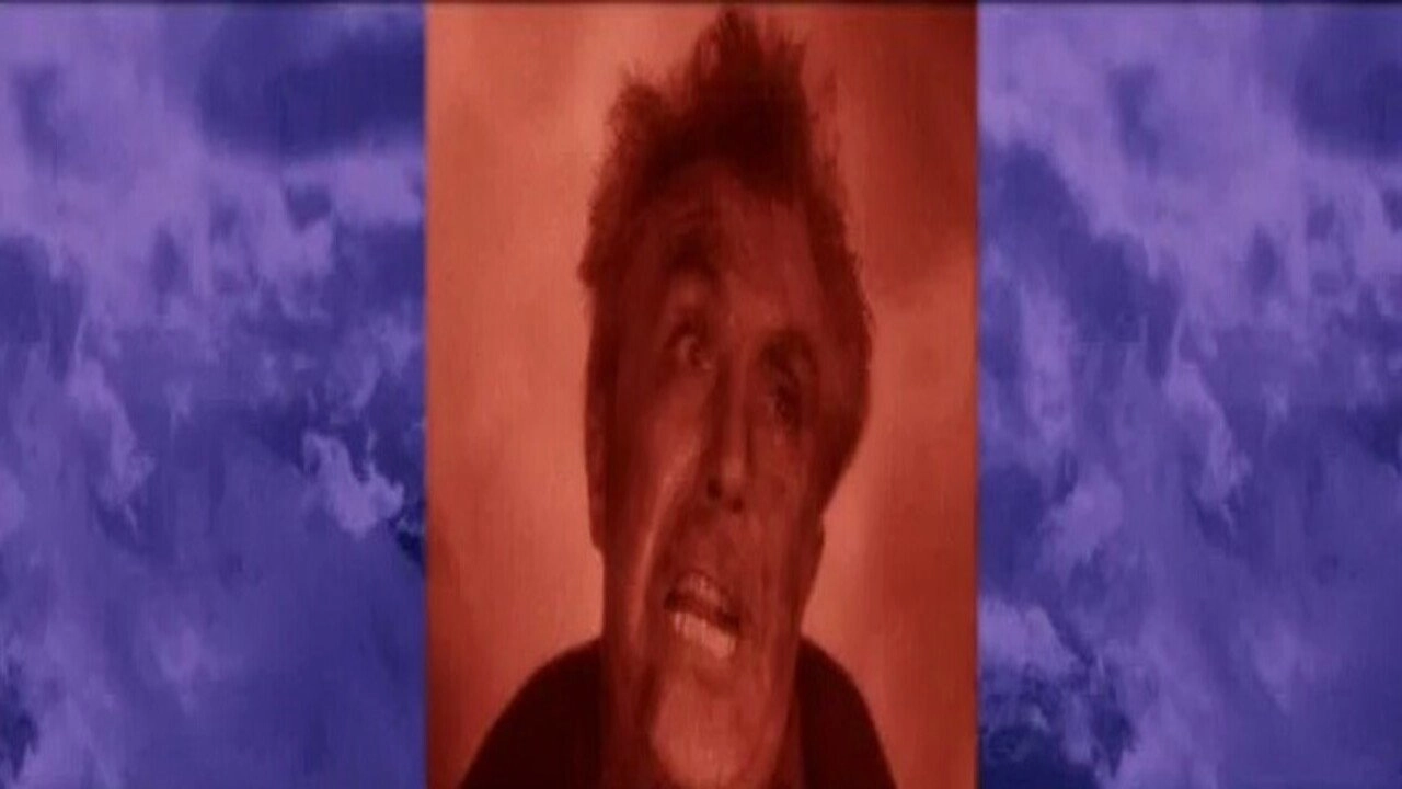 Zebraman